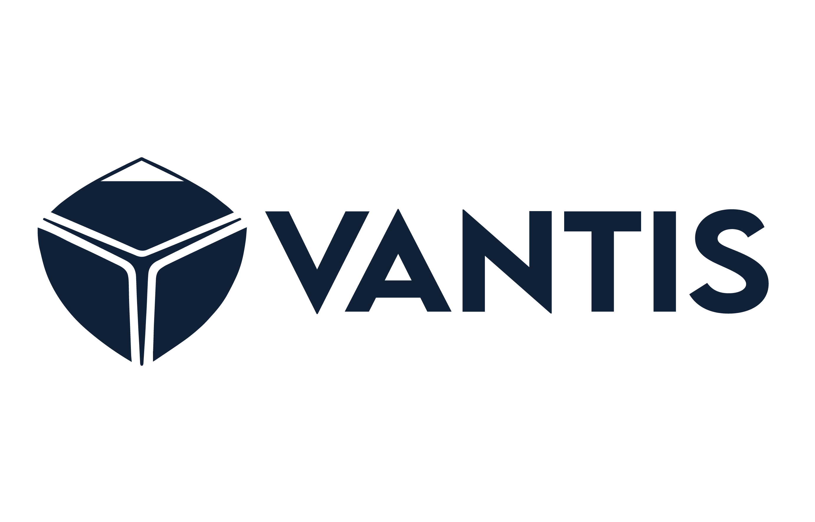 VANTIS Logo