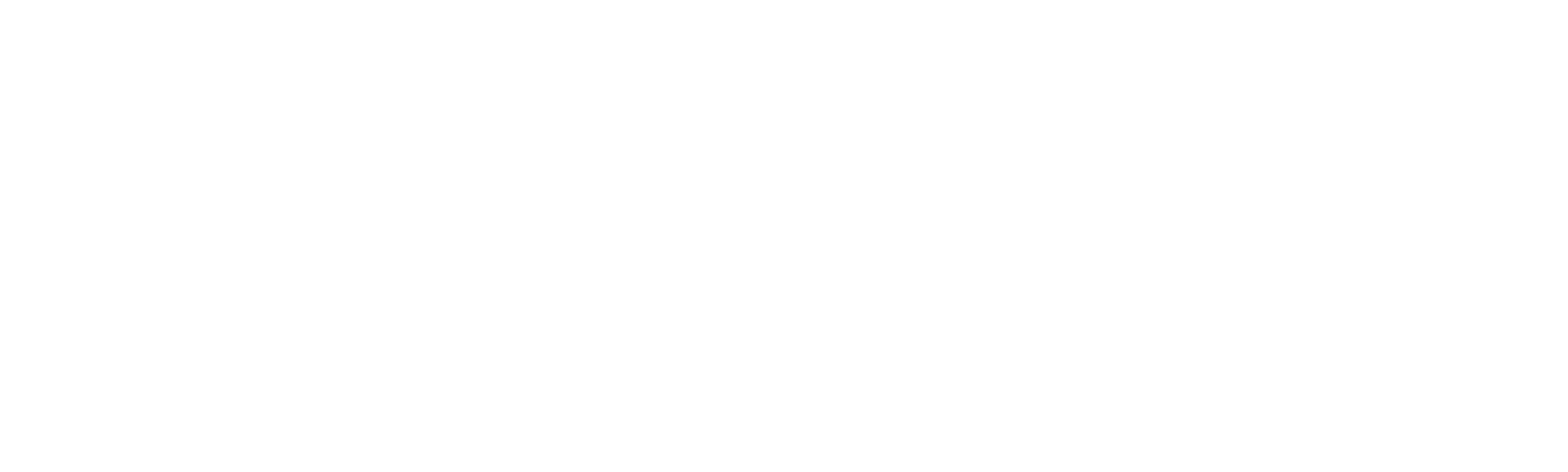 vantis-footer-logo